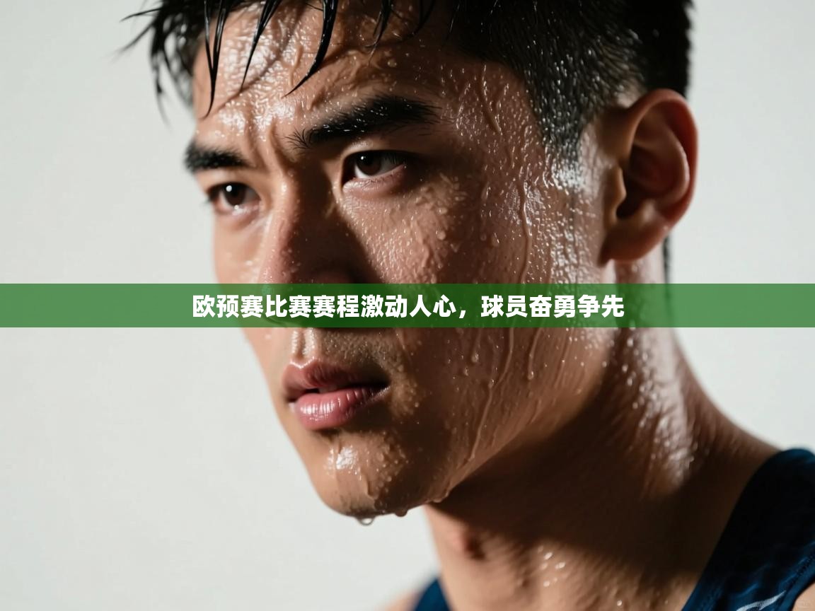 欧预赛比赛赛程激动人心，球员奋勇争先  第2张