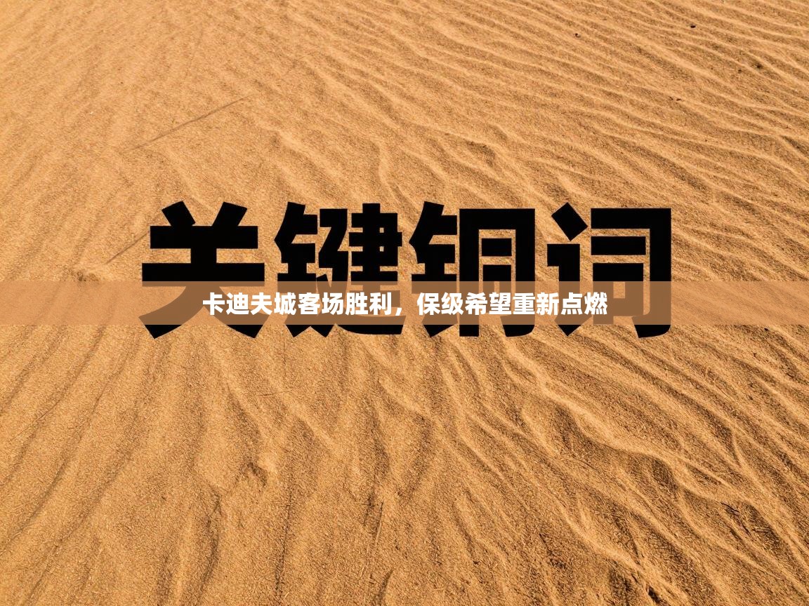 卡迪夫城客场胜利,保级希望重新点燃 第1张