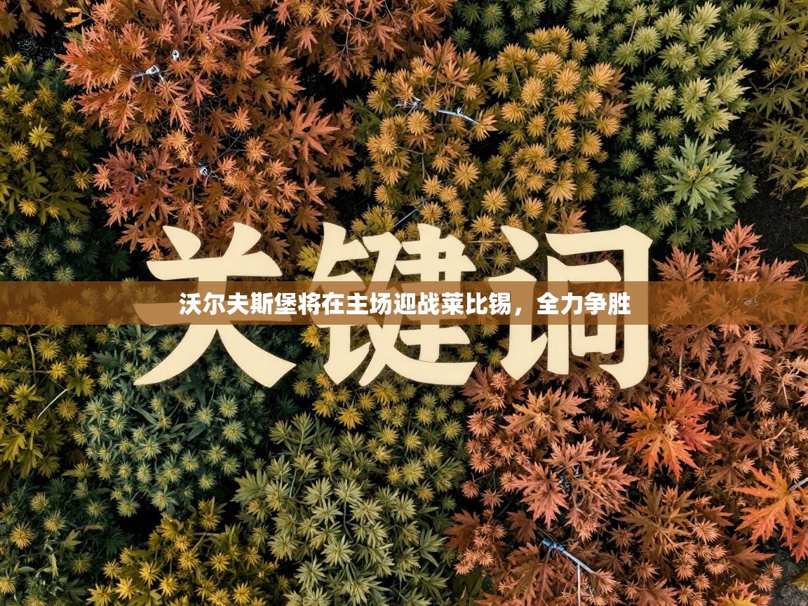 沃尔夫斯堡将在主场迎战莱比锡，全力争胜  第2张