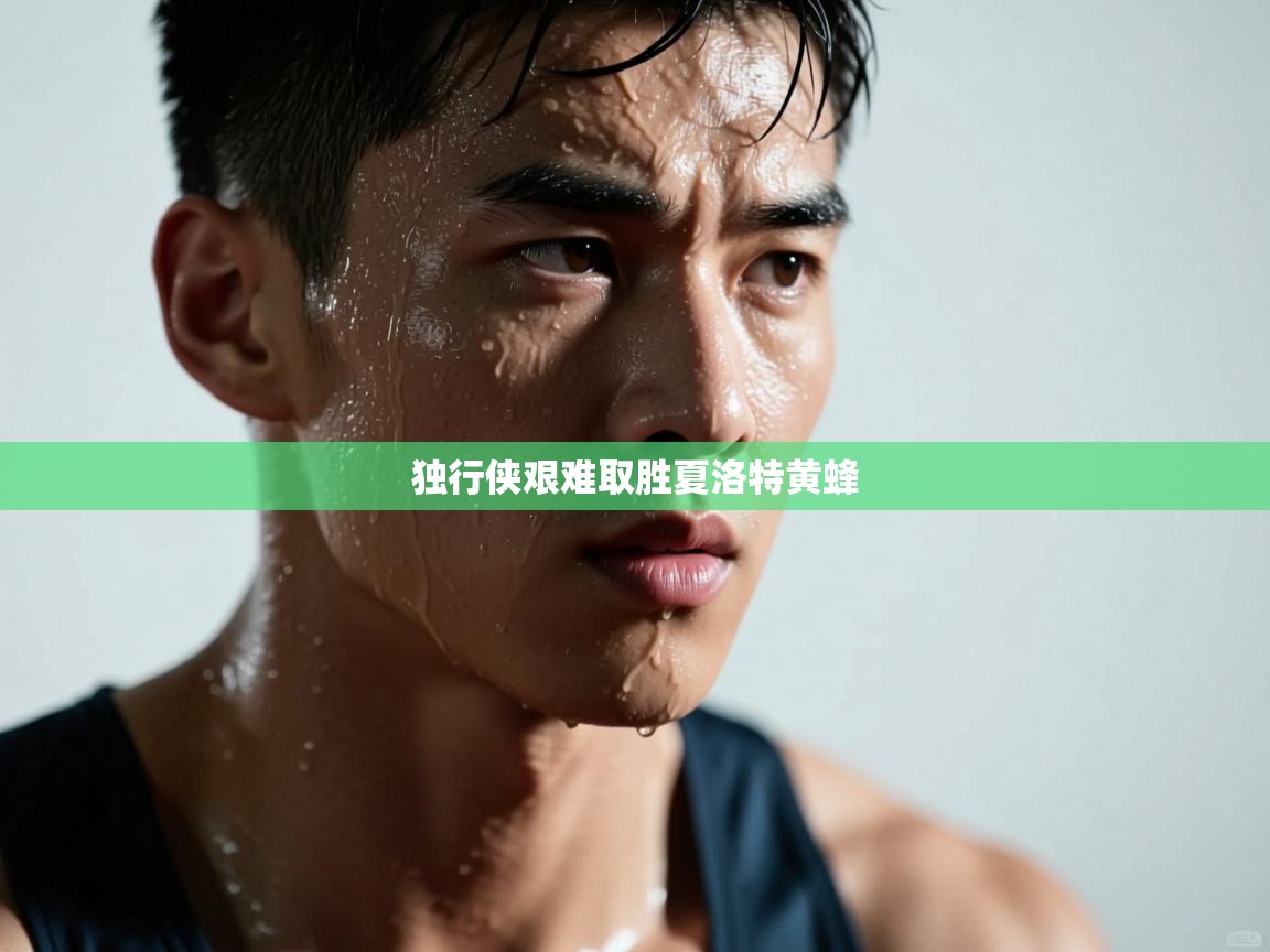 独行侠艰难取胜夏洛特黄蜂  第1张