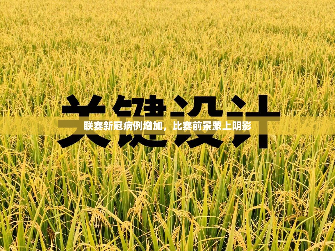 联赛新冠病例增加，比赛前景蒙上阴影  第1张