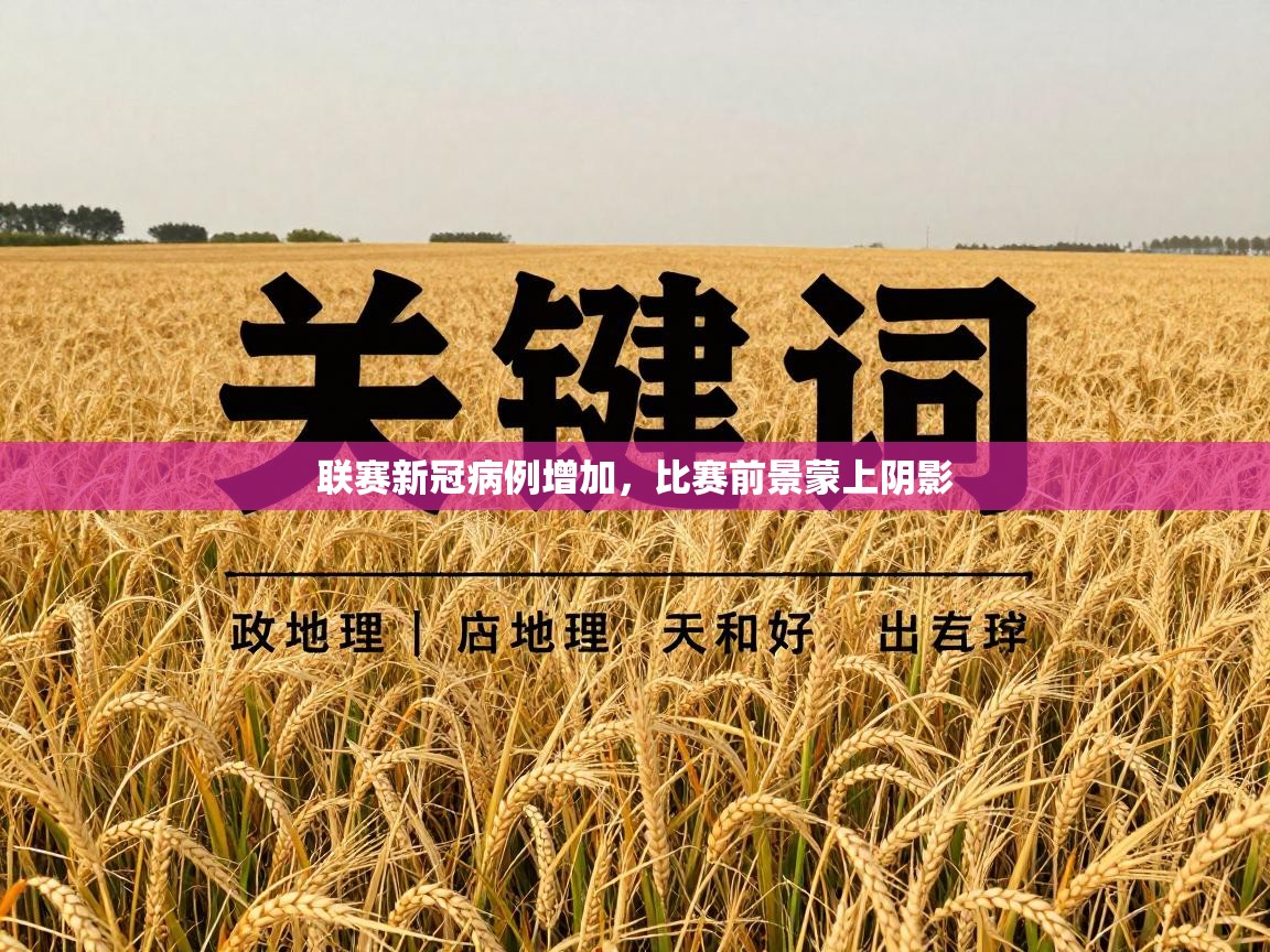 联赛新冠病例增加，比赛前景蒙上阴影  第2张