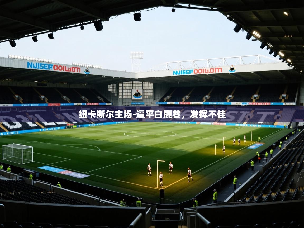 纽卡斯尔主场-逼平白鹿巷，发挥不佳  第1张