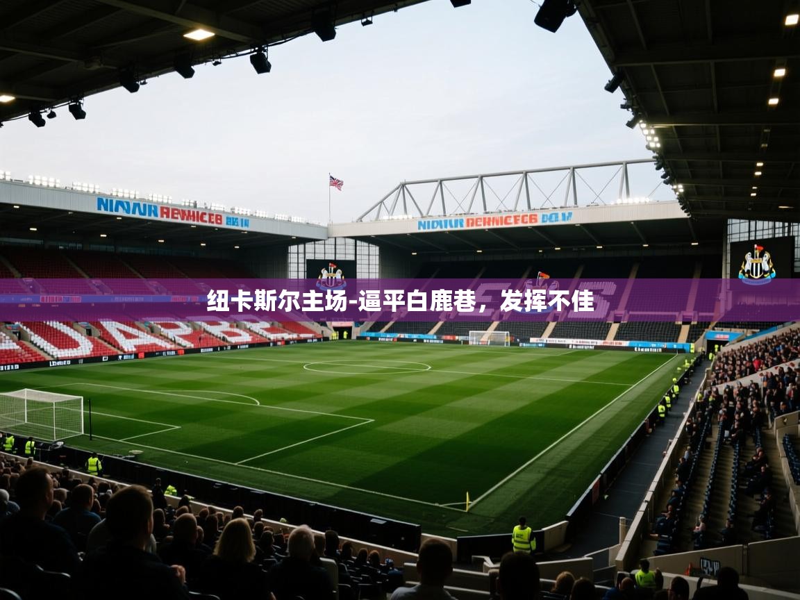 纽卡斯尔主场-逼平白鹿巷，发挥不佳  第2张